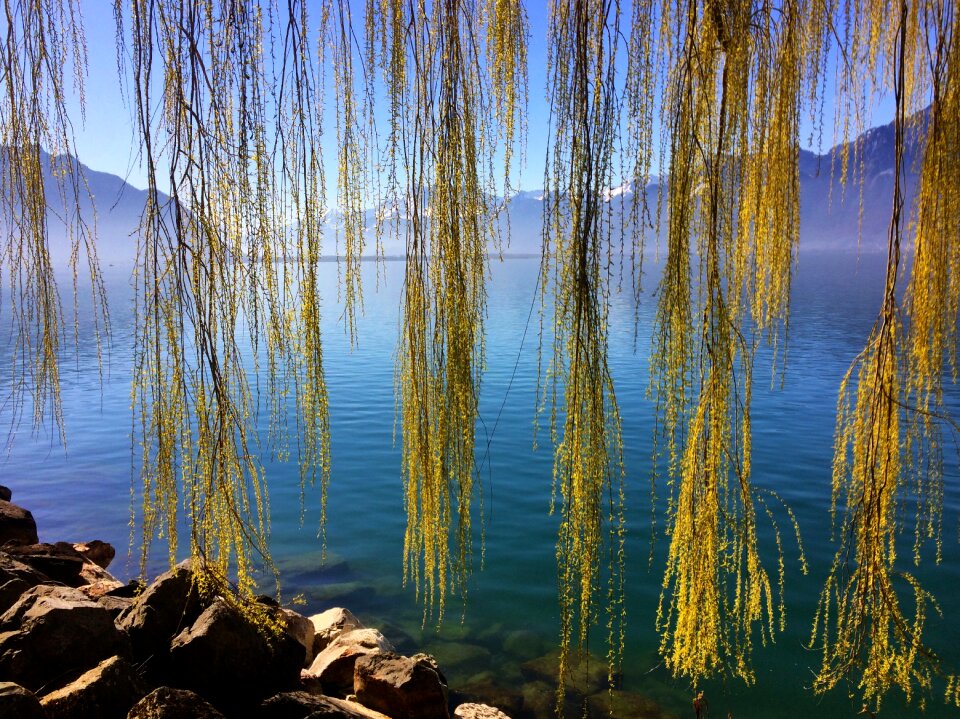 Montreux water mood