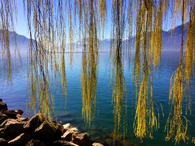 Montreux water mood