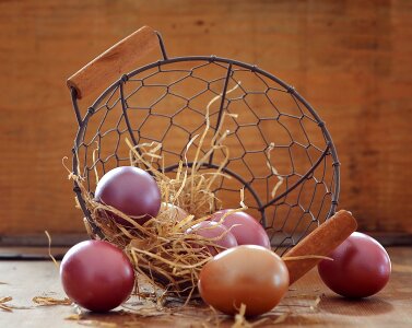 Colorful basket easter