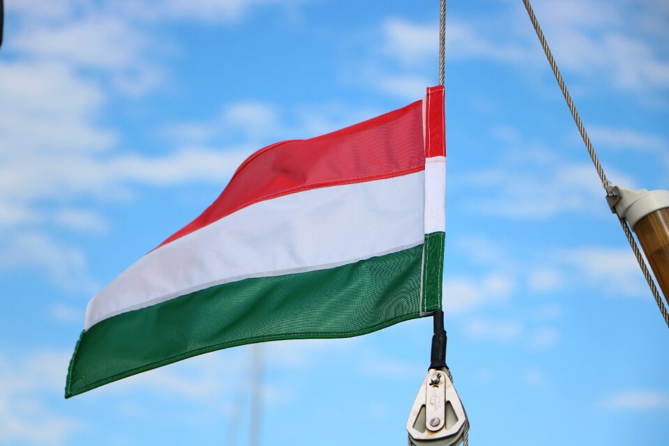 Blue hungarian hungary