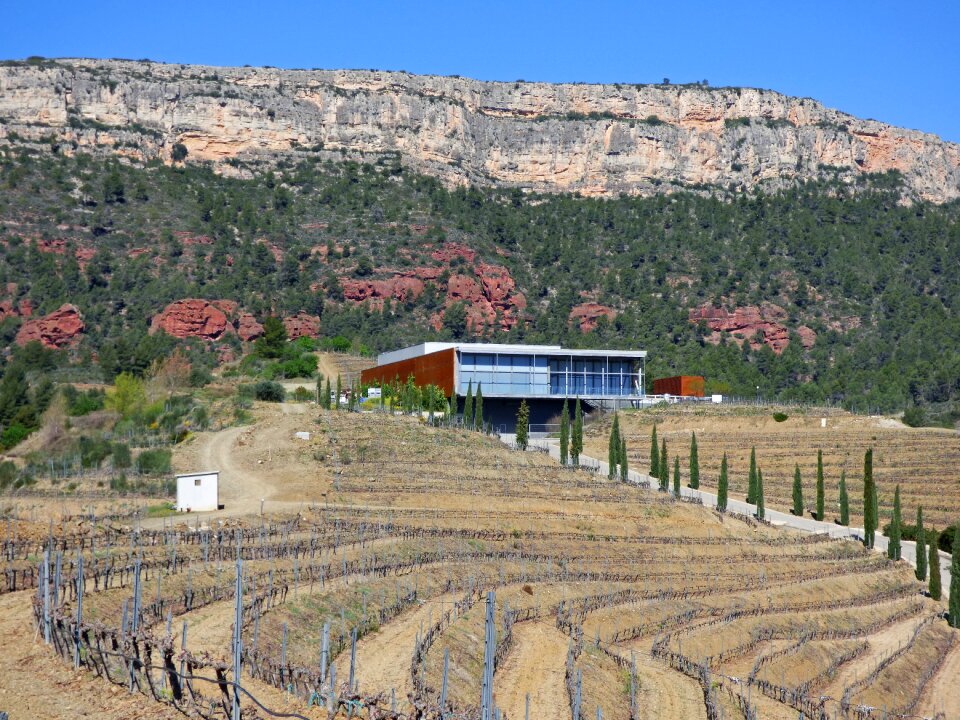 Modern architecture landscape integration