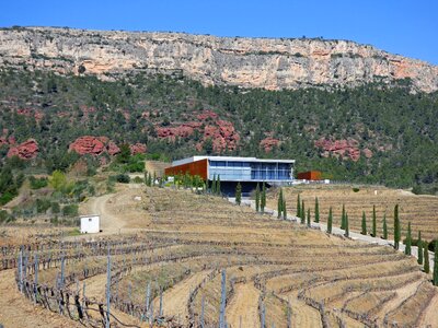 Modern architecture landscape integration