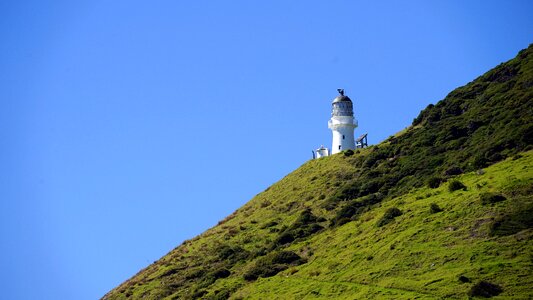 New zealand north island nature