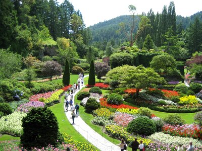 Floral landscape tourism