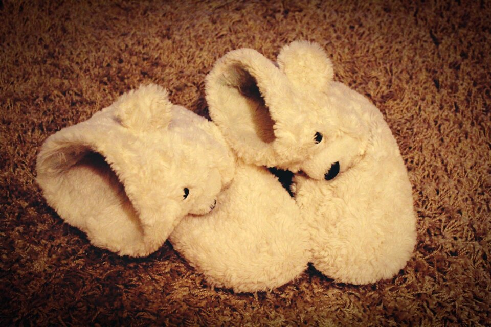 Slipper bears carpet