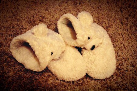 Slipper bears carpet