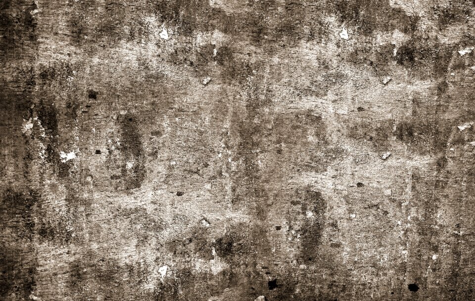 Wood texture background wooden natural