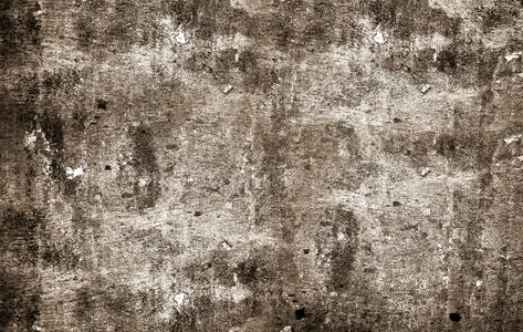Wood texture background wooden natural
