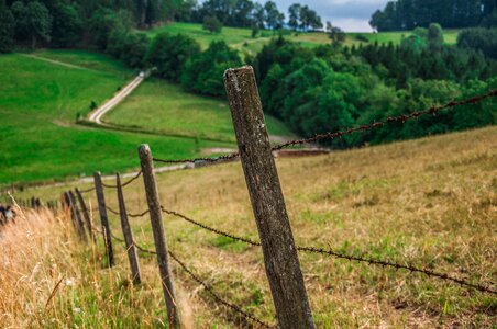 Nature landscape hill