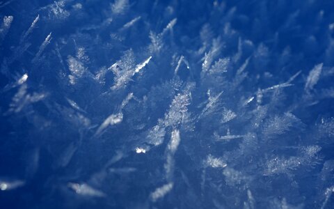 Cold winter ice photo