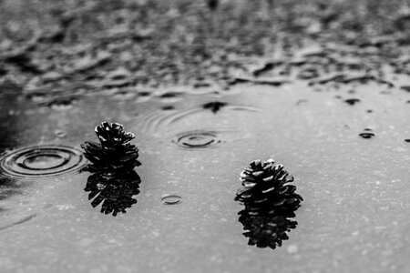 Nature water gray rain