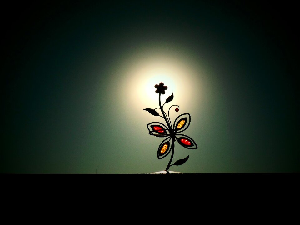 Flower backlight energy