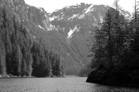 Wilderness souteast forest