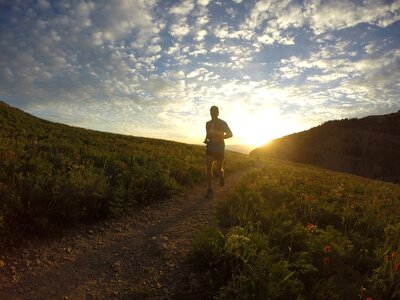 Morning nature brown running