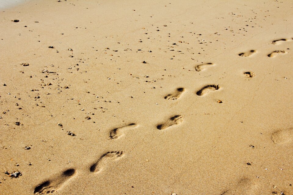 Tracks in the sand traces footprints in the sand