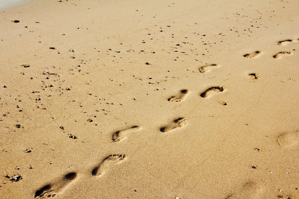 Tracks in the sand traces footprints in the sand photo