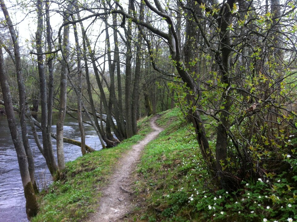 Spring sweden outdoor
