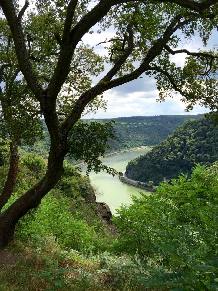 Landscapes nature panorama