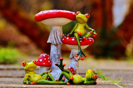 Funny cute animals