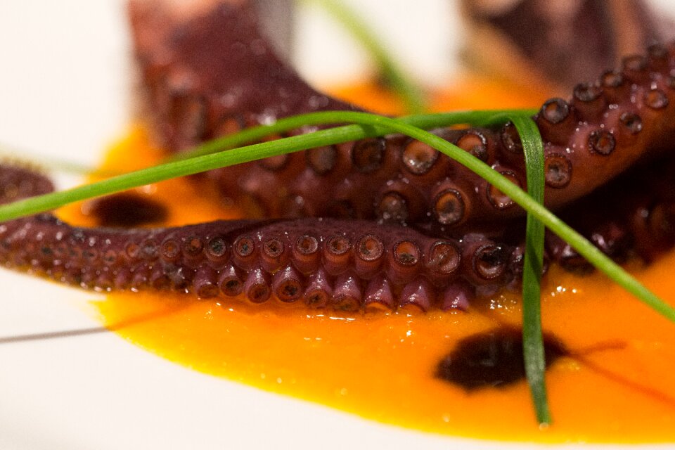 Eat table gastronomy