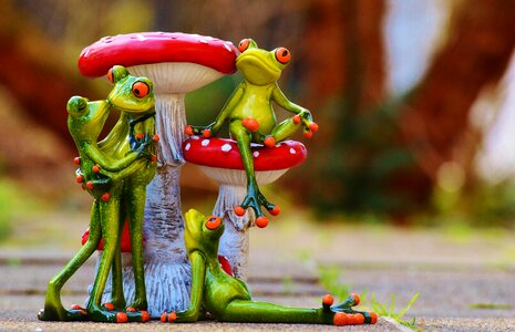 Funny cute animals