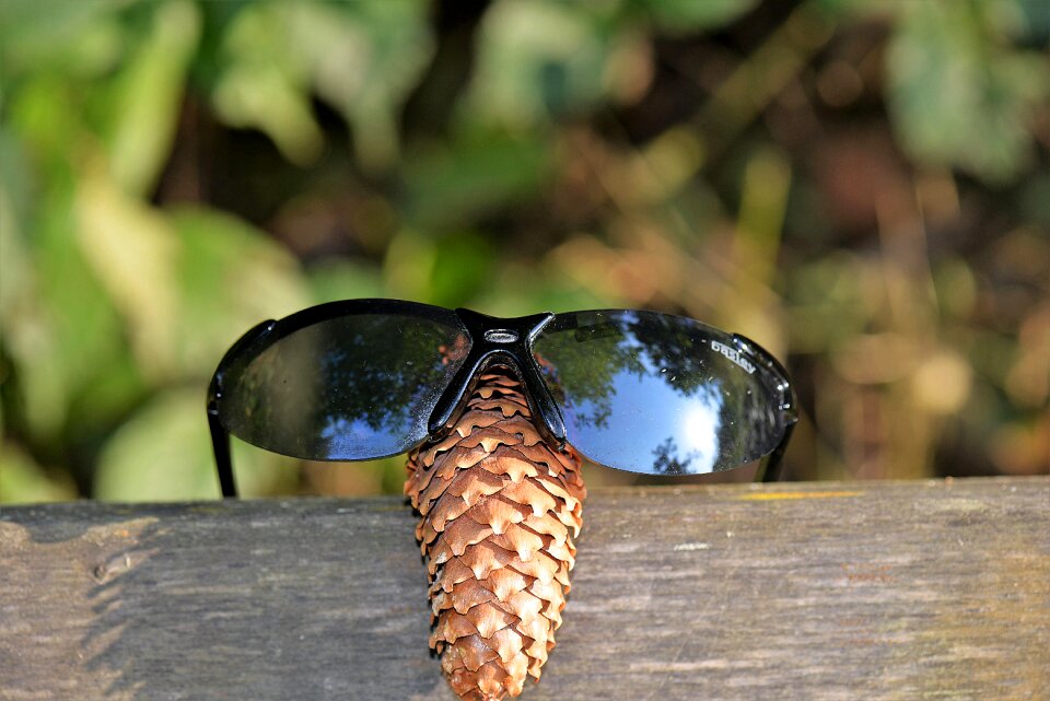 Close up nature fun