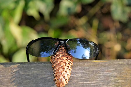 Close up nature fun