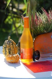 Champagne pumpkin decoration