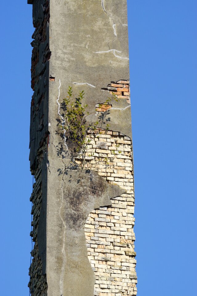 Spinning ruin decay