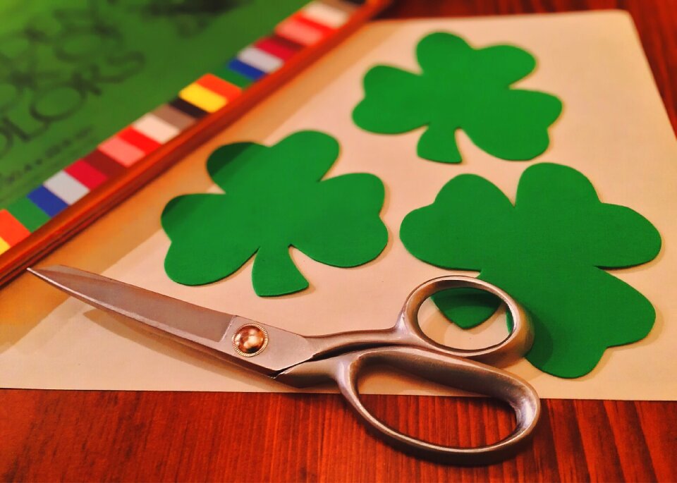 Clover irish st patricks day photo