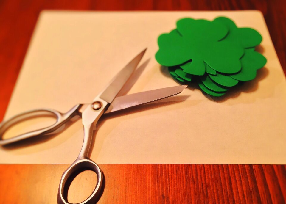 Clover irish st patricks day photo