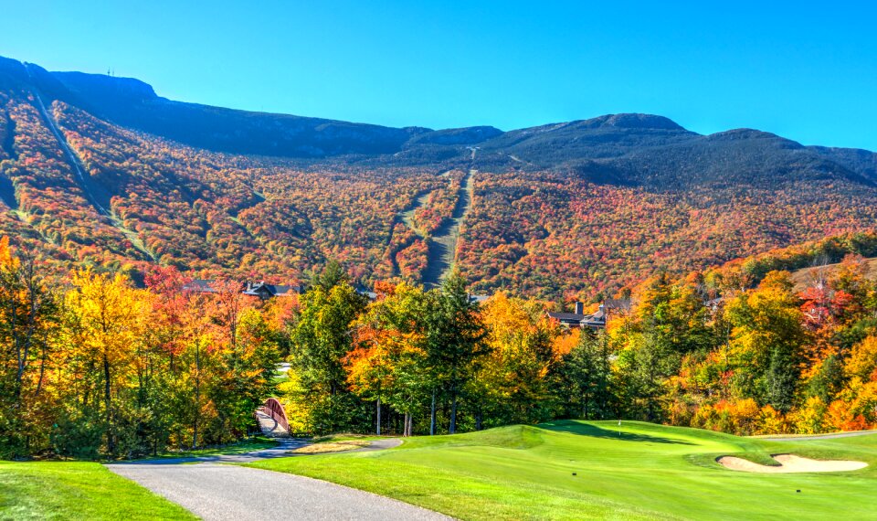 Autumn fall landscape photo