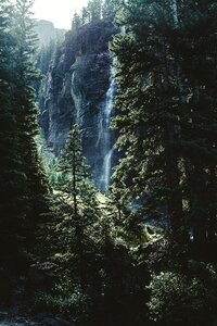 Pines waterfall mountain photo