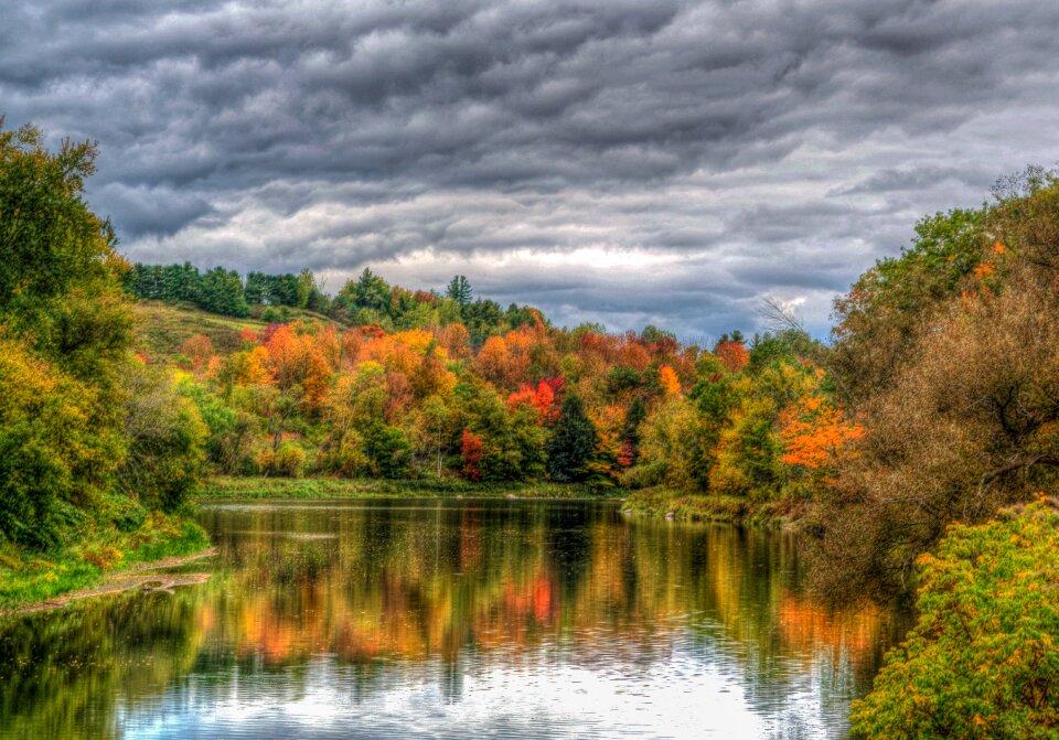Cloudy sky foliage
