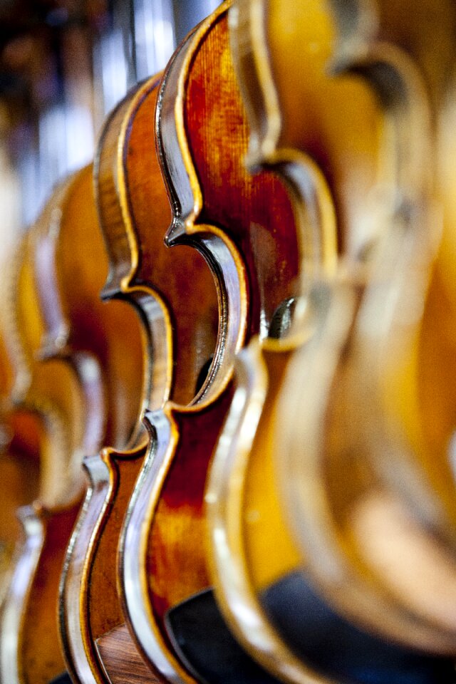 Ensemble played hobby