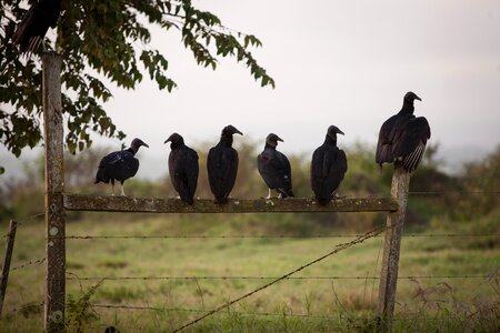 Fence club group photo