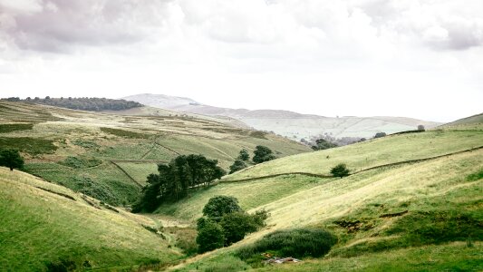Grass greenery panorama