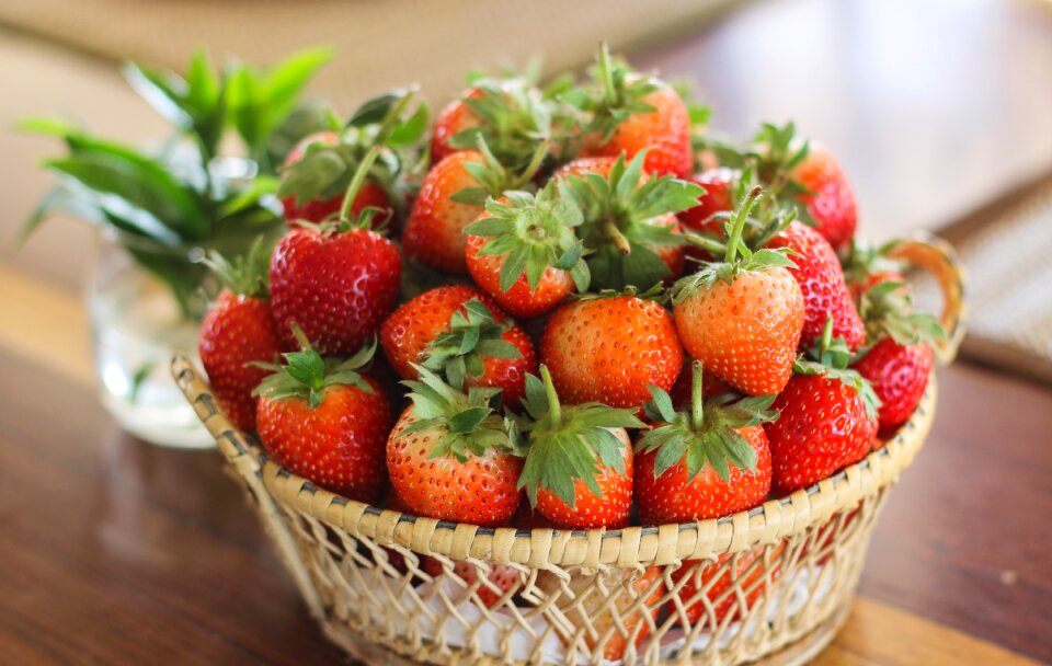 Day horizontal raw food