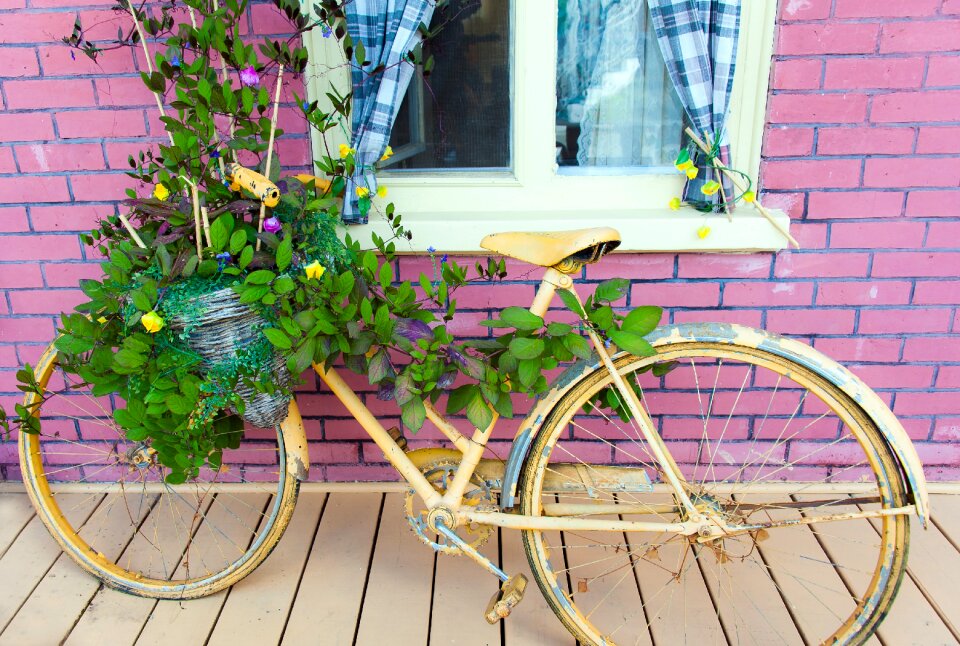 Planted green outdoors