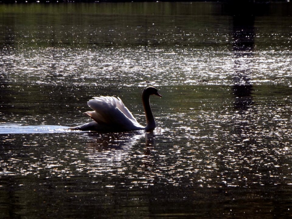 Mattheiser pond pond natural mood