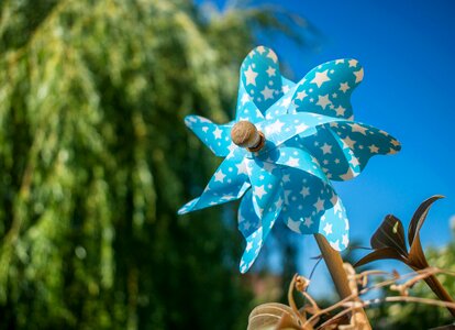 Green wheel garden
