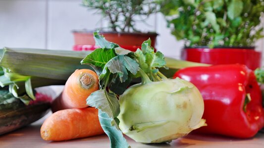 Plant kohlrabi fresh