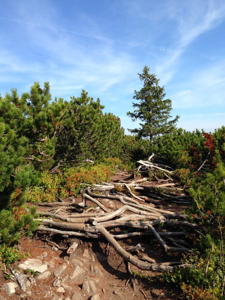 Poland hiking trail landscape