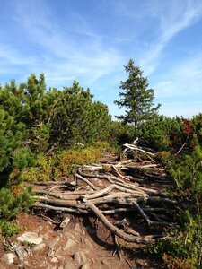 Poland hiking trail landscape