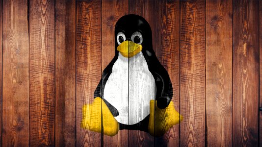 Wallpaper wood penguin
