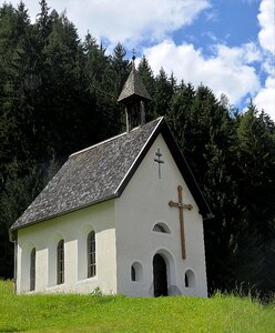 Forest religion nature