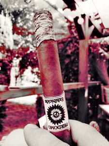 Cigar enjoy live