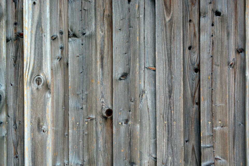 Larch structure old