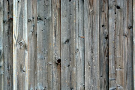 Larch structure old