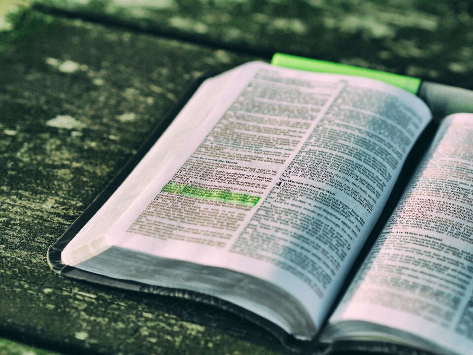 Document education highlight